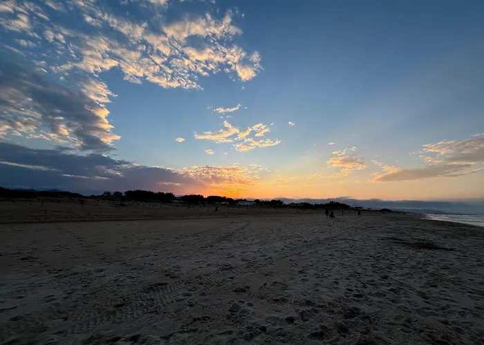 Lacasitadelsurf Oliva